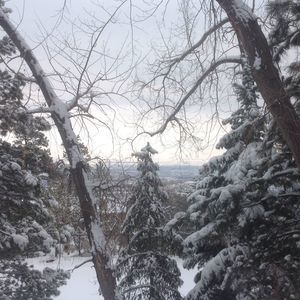 Meet your Posher, Su